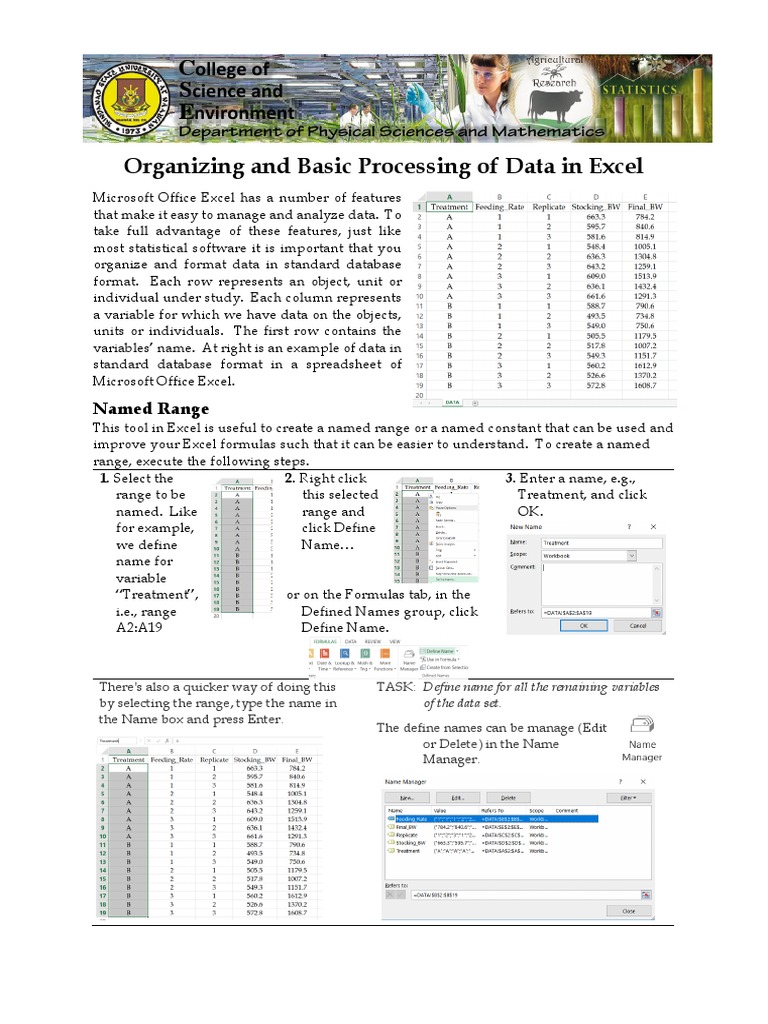 LESSON 2.2a - Organizing Data in Excel | Download Free PDF | Microsoft ...