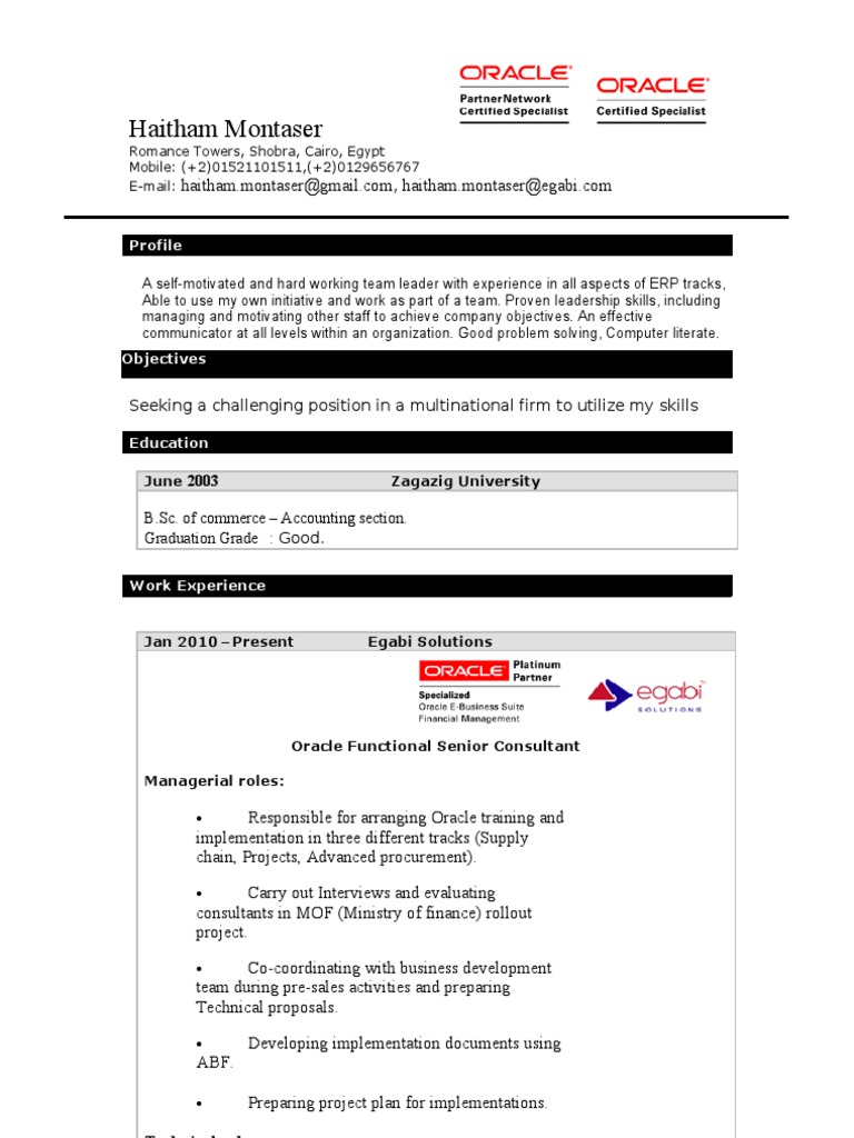 Oracle Functional Senior Consultant-ERP Project Coordinator | PDF ...