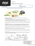 Evaluacion Sumativa de Ciencias Cadenas Tróficas