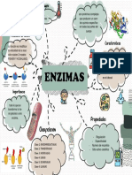 Mapa Mental Enzimas Eimar Rivero 201O3