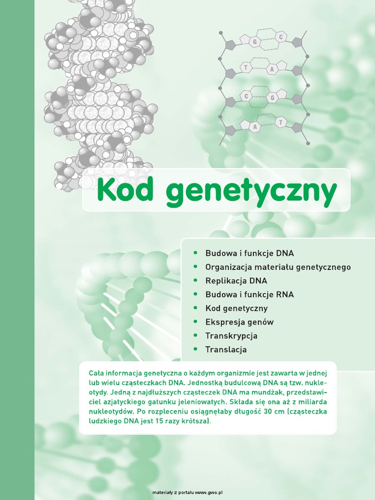 Wyjaśnij Dlaczego Dna Przed Podziałem Przyjmuje Postać Chromosomów