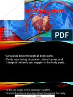 Circulatory System: - Prepared By: - Arca, Ma. Jaina - Esplago, Sharmene - Getubig, Allysa - Orsal, Renz