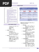 Chapter 7 - Muscular System