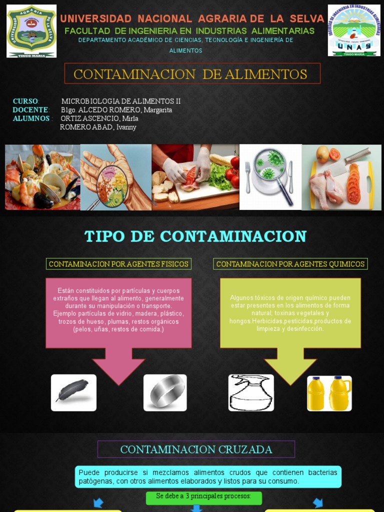 Tipos y Prevención de Contaminación Alimentaria | PDF | Alimentos ...