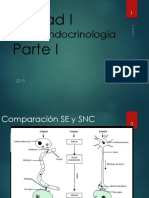 Resumen Neuroi