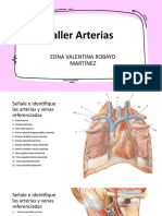 Taller Arterias