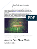 7 Mind-Bending Facts About Magic Mushrooms