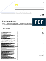 ATP Synthesis