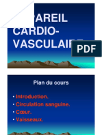 Anatomie Appareil Cardio Vasculaire Copie