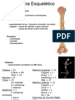 Slides Sistema Esquelético Facul 1