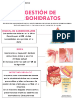 Digestion de Carbohidratos