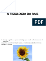 A FISIOLOGIA DA RAIZ
