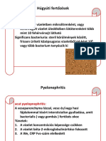 Pyelonephritis Nephritis