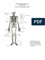 Session 6_The human skeletal system