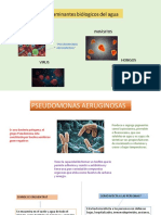 AMBIENTE CONTAMINANTES Biologicos