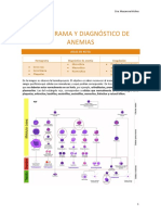 Hemograma y Diagnóstico de Anemias