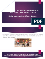 PDF Derechos y Politica Discapacidad 2020