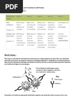 Blood Typing - : Adapted From Figure 40.5 in Holt Biology by Johnson and Raven