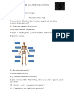 Taller sistema oseo