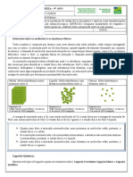 9º CIE 4 Semana 2º Corte PDF 1