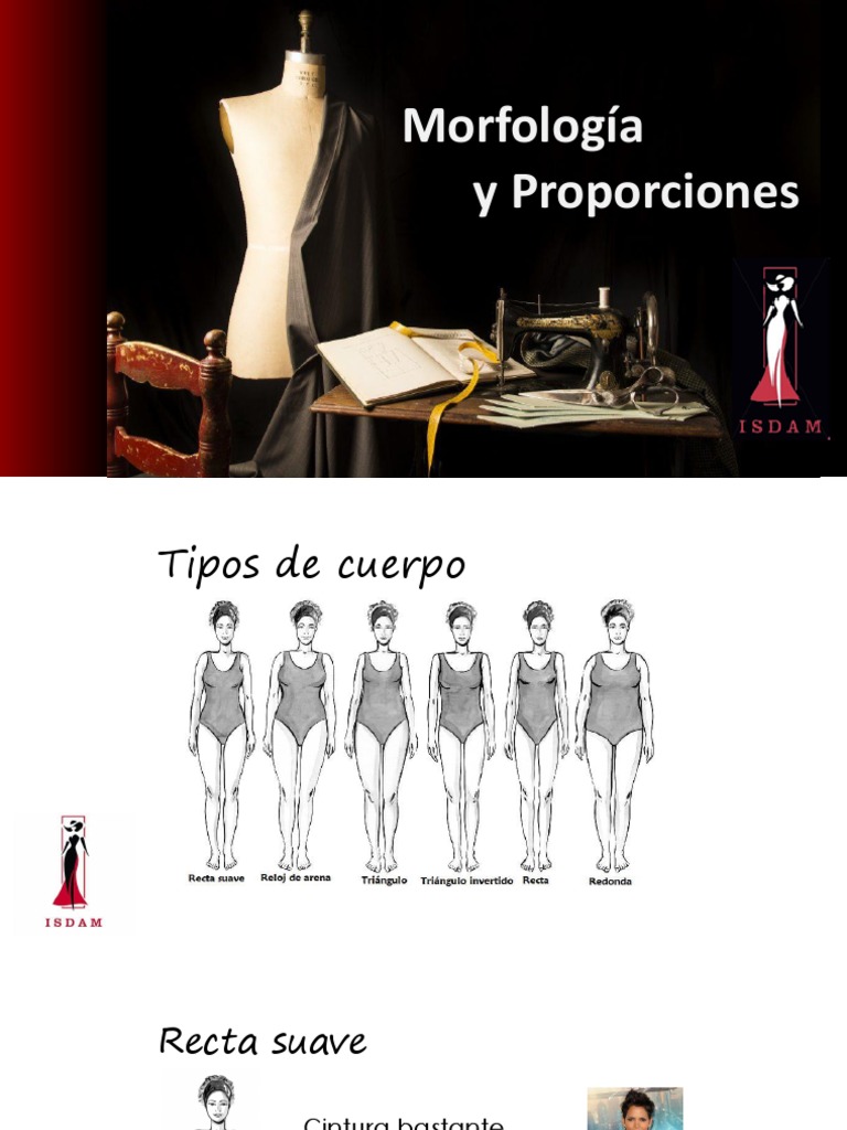 Morfología y Proporciones | PDF | Ropa | Moda