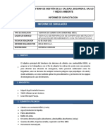 Informe de Simulacro Ambiental