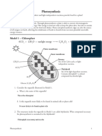 11 Photosynthesis Pogil