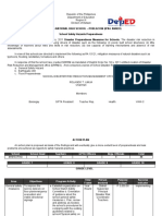 SDRRM Action Pla Draft Pattern