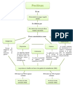 Mapa Conceptual