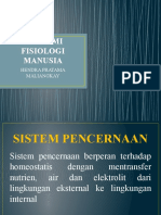 Anatomi Fisiologi Manusia 8