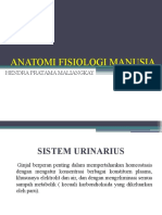 Anatomi Fisiologi Manusia 6