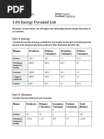 Energy Pyramaid Lab