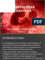 Embriologia Cardiaca Neonatal