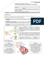 Guía Biología - Fecundacion - Desarrollo Embrionario - ETS - Drogas