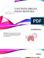 Gangguan Pada Organ Pernapasan Manusia
