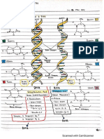 Andra Febriona Putri_2005113169_DNA