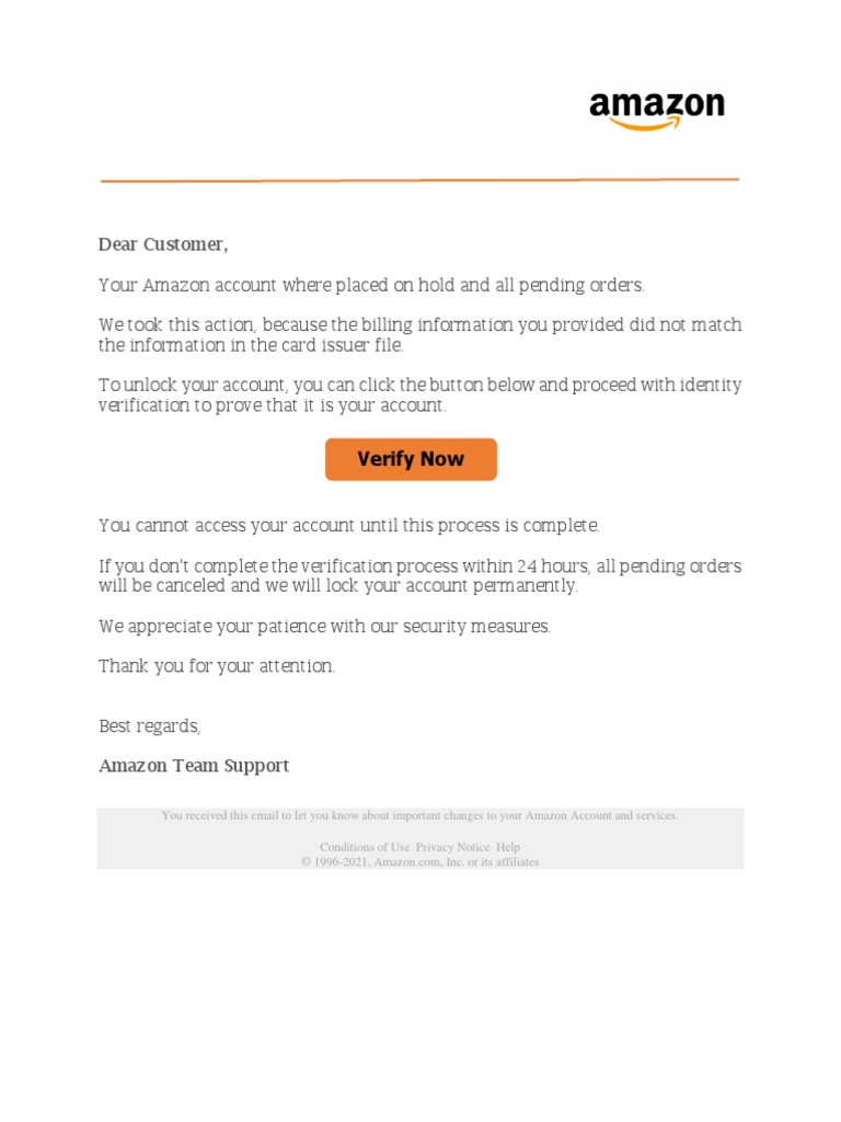 Amazon Statement Information PDF