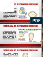 1desarrollo Cardiaco Embrionario