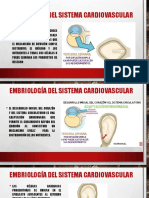 1Desarrollo Cardiaco Embrionario (1)
