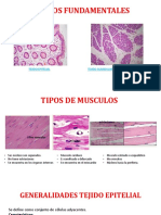 PLACAS Histopatologia