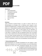 Download Energiegewinnung in Der Zelle by Philipp Deuchler SN53822012 doc pdf