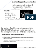 The Vertebral Column, Cranium, Jaw, Ribs, and Intramuscular Bones Comprise The Skeleton