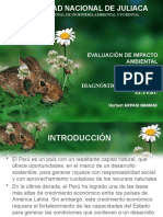 Diagnóstico Ambiental en El Perú