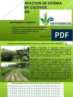 Implementacion de Sistema Vetiver en Cultivos Cafeteros2