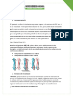 Taller final Genetica