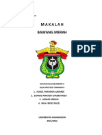 Bawang Merah MAKALAH WIP KELOMPOK 5