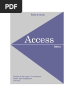 Apostila Manual Treinamento Access Basico