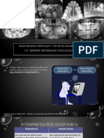 Radiología Protesis