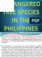 Endangered Tree Species in The Philippines