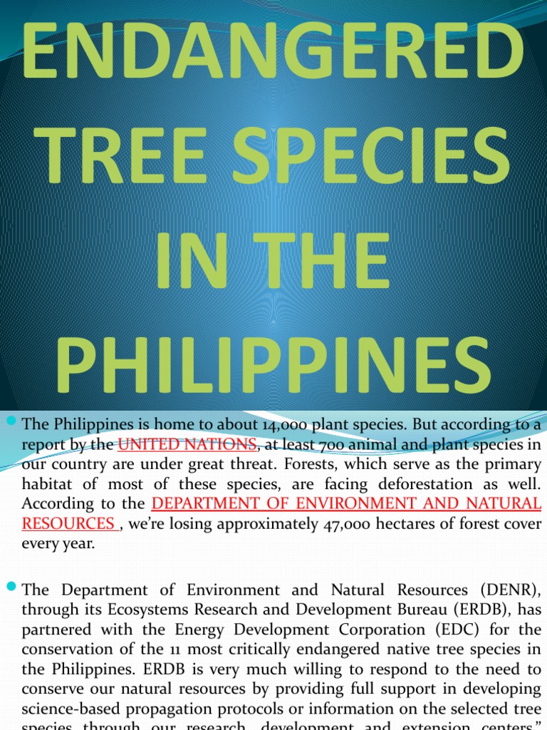Critically Endangered Trees in the Philippines | PDF | Trees | Natural ...
